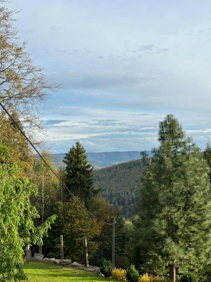 Osada Wichrowe Wzgorze Chalet
